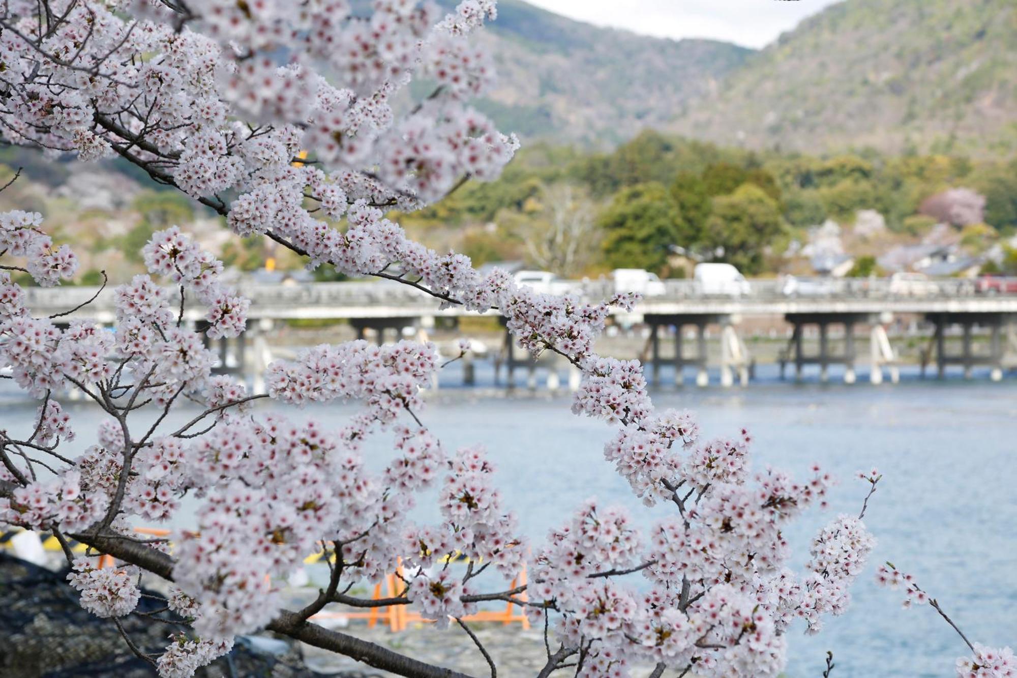 Kyoto Arashiyama Onsen Ryokan Togetsutei Exteriér fotografie
